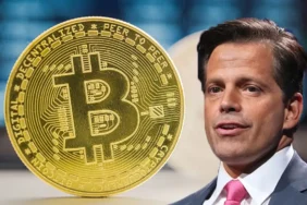 Kripto para yatırımı yapan ünlü isimlerden biri olan Anthony Scaramucci, Bitcoin'in gelecek sene 170 bin dolarlık seviyeye çıkacağını düşündüğünü söyledi. Scaramucci, bu yükselişe sebep olarak ödül yarılanmasını gösterdi.