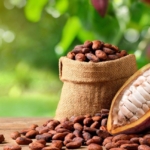 Son dönemde Fed yetkililerinin verdiği mesajlar, faiz oranlarının yakın zamanda düşürülmesi konusunda temkinli olunacağı yönünde ipuçları sunuyor.