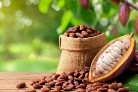 Son dönemde Fed yetkililerinin verdiği mesajlar, faiz oranlarının yakın zamanda düşürülmesi konusunda temkinli olunacağı yönünde ipuçları sunuyor.