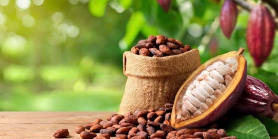 Fed Belirsizliği Emtiaları Vurdu, Kakao Güvenli Liman Oldu